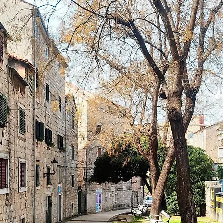 Bubalova *